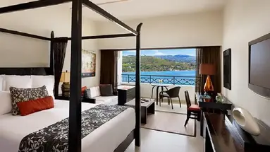 Secrets Wild Orchid