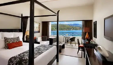 Secrets Wild Orchid