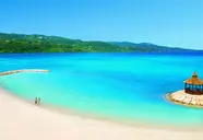 Secrets Wild Orchid