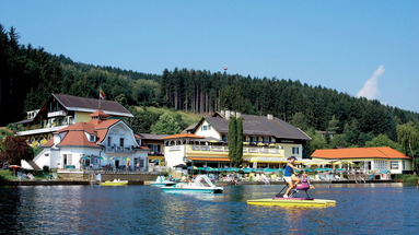 See Steiner