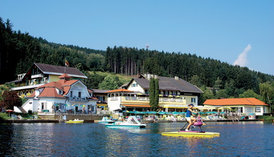 See Steiner