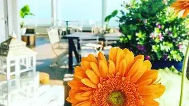 Select (Riccione)