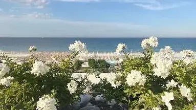 Select (Riccione)