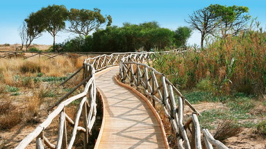 Selinunte Beach