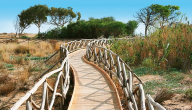 Selinunte Beach