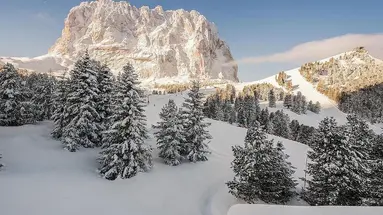 Sella