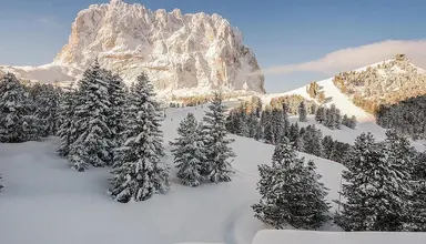 Sella
