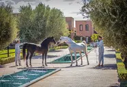 Selman Marrakech