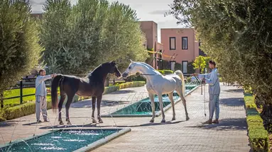 Selman Marrakech