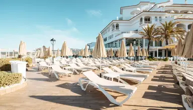 Sentido Fido Punta del Mar
