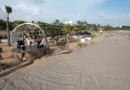 Sentido Flora Garden Beach Club