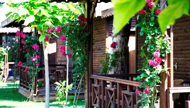 Sentido Flora Garden Beach Club