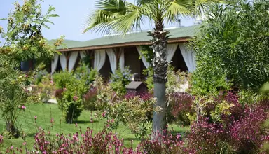 Sentido Flora Garden Beach Club