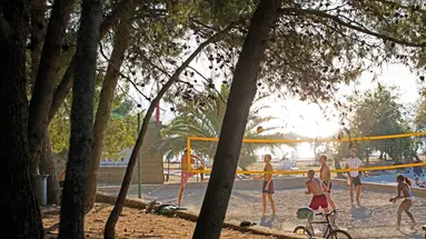 Sentido Kaktus