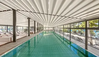 Sentido Kaktus