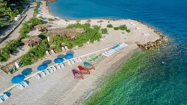 Sentido Kaktus
