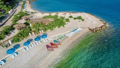 Sentido Kaktus