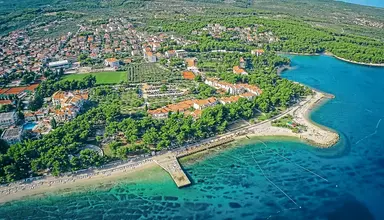 Sentido Kaktus