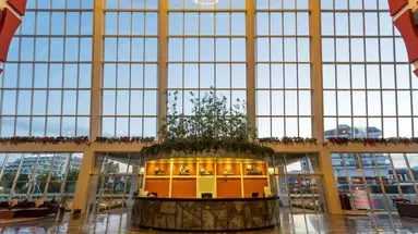 Senza The Inn Resort & Spa