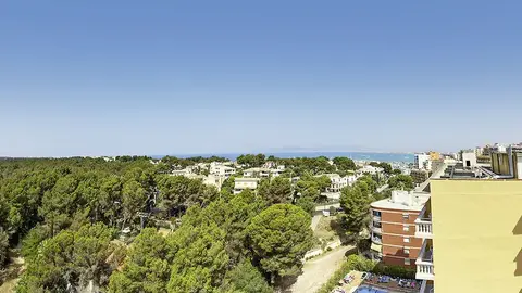 El Arenal