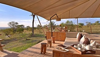 Serengeti Bushtops Luxury Camp