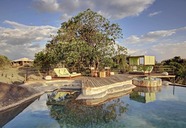 Serengeti Bushtops Luxury Camp