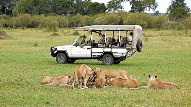 Serengeti Bushtops Luxury Camp