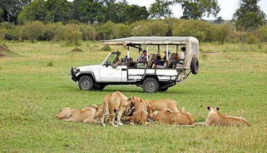 Serengeti Bushtops Luxury Camp