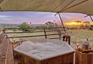 Serengeti Bushtops Luxury Camp