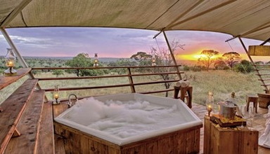 Serengeti Bushtops Luxury Camp