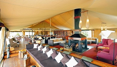 Serengeti Bushtops Luxury Camp