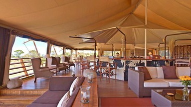 Serengeti Bushtops Luxury Camp