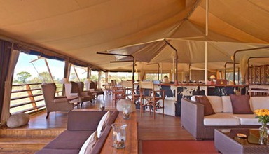 Serengeti Bushtops Luxury Camp