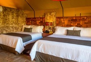 Serenity Eco Luxury Tented Camp