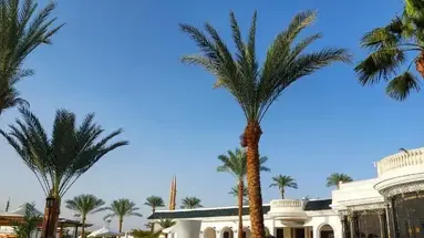Seti Sharm Palm Beach Resort