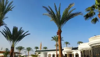 Seti Sharm Palm Beach Resort