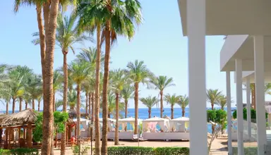 Seti Sharm Palm Beach Resort