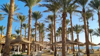 Seti Sharm Palm Beach Resort