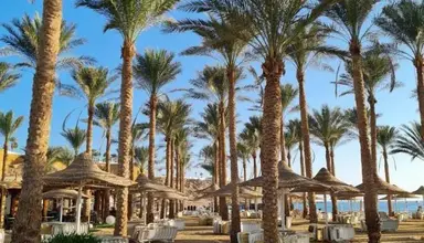 Seti Sharm Palm Beach Resort