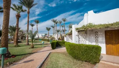 Shams Safaga