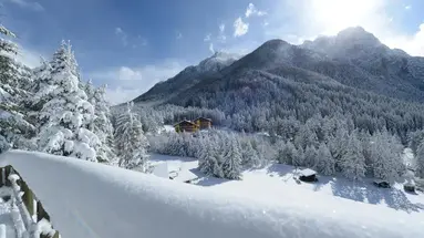 Shandrani