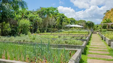Shanti Maurice Resort & Spa
