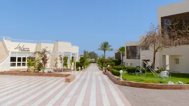 Sharm Reef