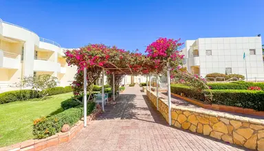 Sharm Reef