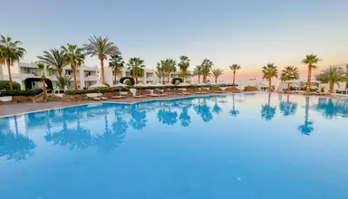 Sharm Reef