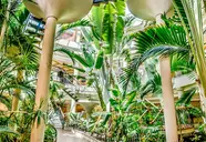 Sheraton Fuerteventura Beach Golf & Spa Resort