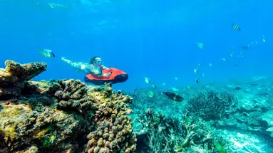 Sheraton Maldives Full Moon Resort & Spa