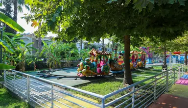 Sherwood Dreams
