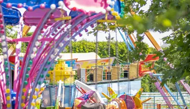 Sherwood Dreams