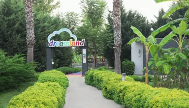 Sherwood Dreams